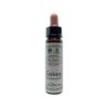 Bach bloesem centaury