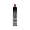 Bach bloesem mustard
