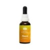 Abund essence