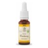 Bach bloesem no. 4 centaury bio - 20 ml