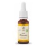 Bach bloesem no. 9 clematis bio - 20 ml