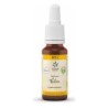 Bach bloesem no. 11 elm bio - 20 ml