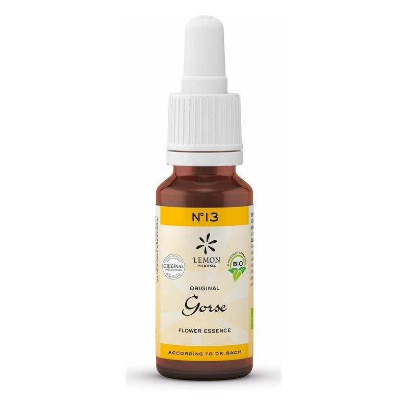 Bach bloesem no. 13 gorse bio - 20 ml