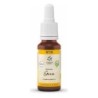 Bach bloesem no. 13 gorse bio - 20 ml