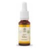 Bach bloesem no. 32 vine bio - 20 ml
