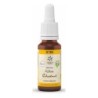 Bach bloesem no. 35 white chestnut bio -