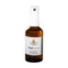 Van der pluym voetspray