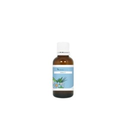 Detox 10 lymfe