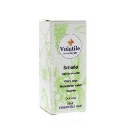 Scharlei