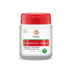 Vitamine b12 1000 mcg met folaat 500 mcg