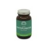 Phytoplankton nannochloropsis