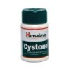 Cystone