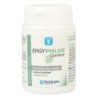 Ergyphilus confort