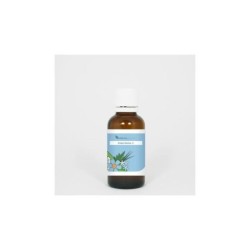 Endocrinotox 06 hypophyse