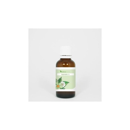 Regenoplex 13 maag