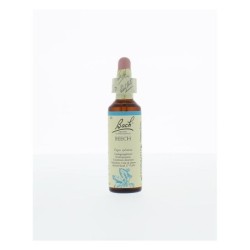 Bach beech / beuk no 3