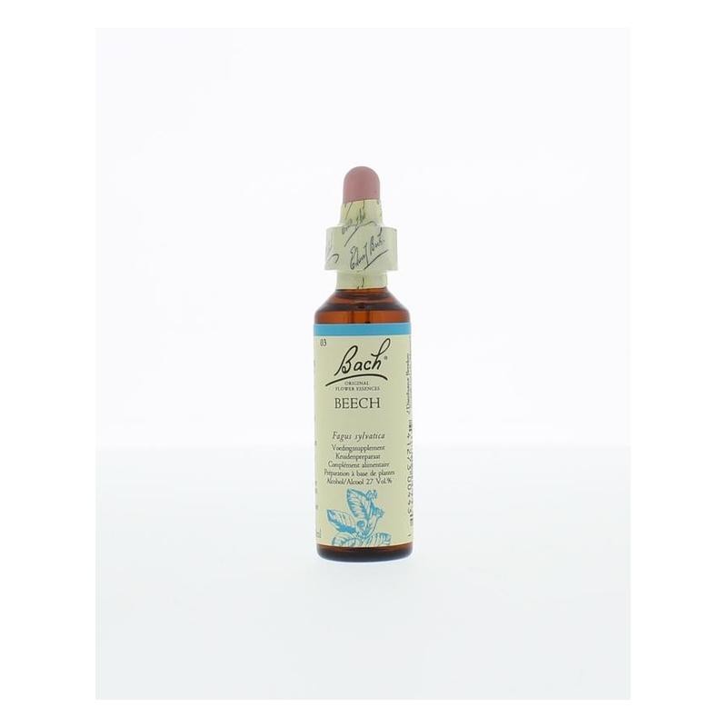 Bach beech / beuk no 3