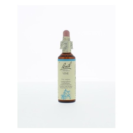 Bach vine / wijnrank no 32