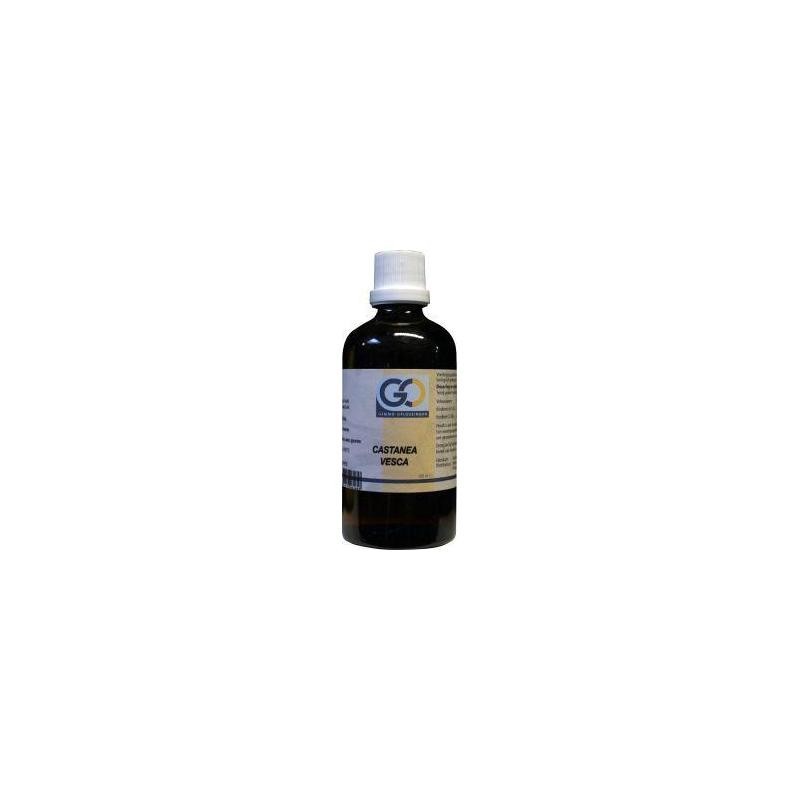 Go castanea vesca bio