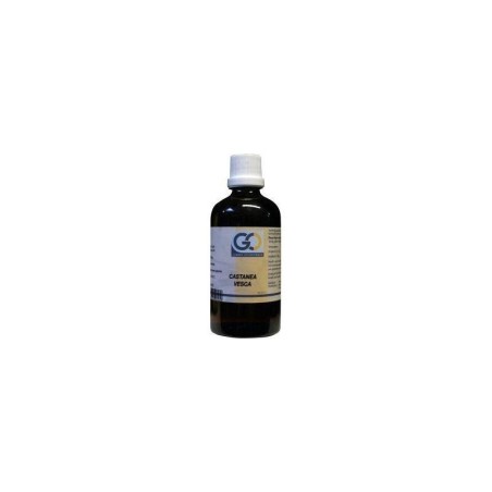 Go castanea vesca bio