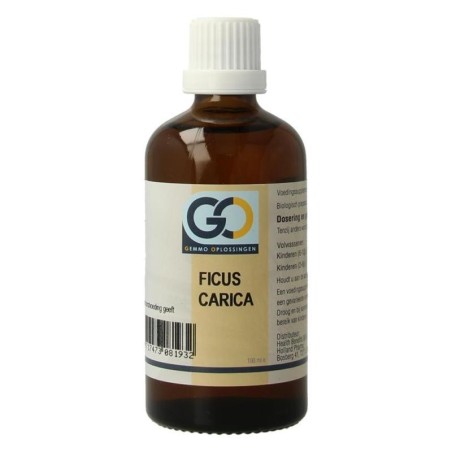 Go ficus carica bio