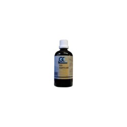 Go ilex aquafolium bio