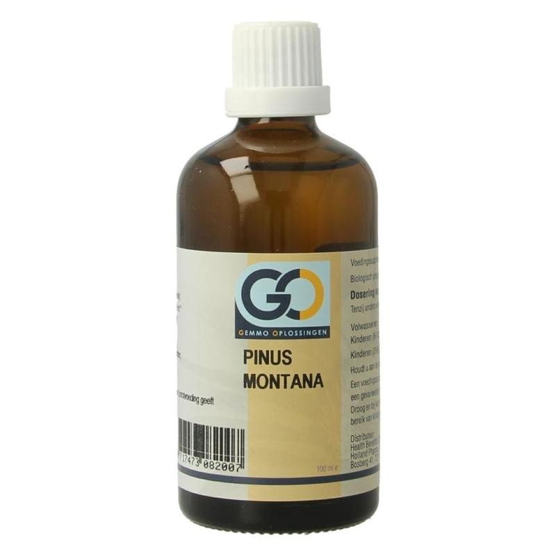 Go pinus montana bio
