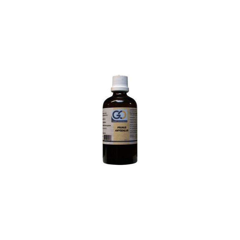 Go prunus amygdalus bio