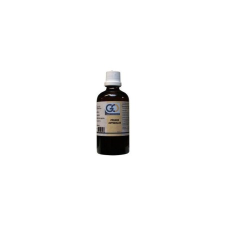 Go prunus amygdalus bio