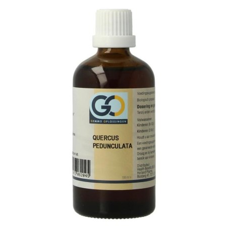 Go quercus pedunculata bio