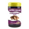 Pijnboombast extract pycnogenol 50 mg